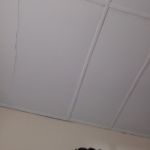 Test User